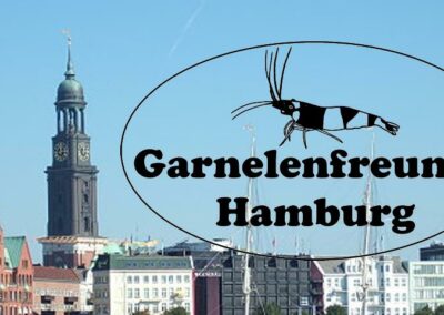 Treffen der Garnelenfreunde Hamburg