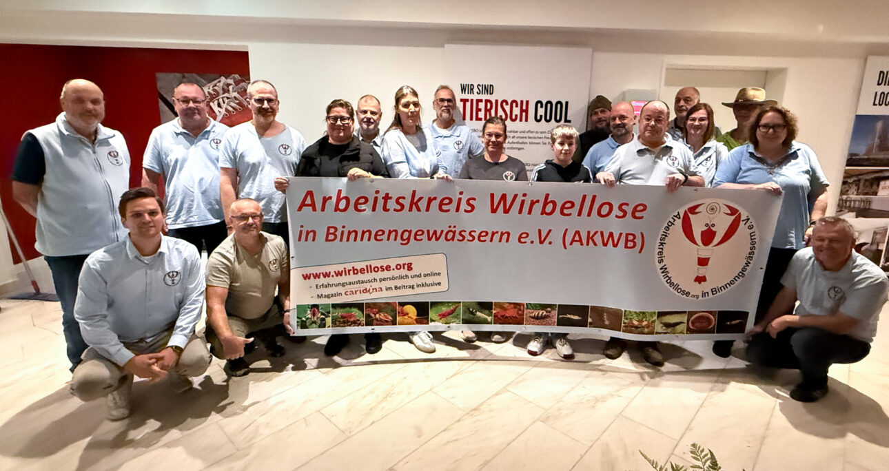 Rückblick auf unser Jahrestreffen 2025 in Hannover