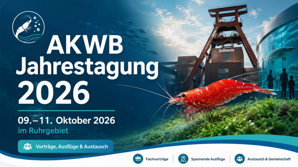 AKWB Jahrestagung 2026 – 09. bis 11. Oktober im Ruhrgebiet